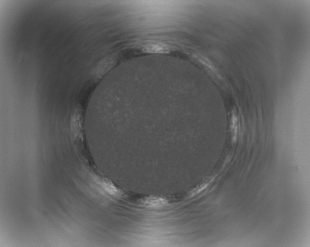 X0000075840322200609291444