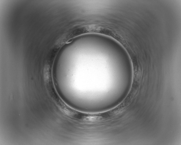 X0000075840323200609291444