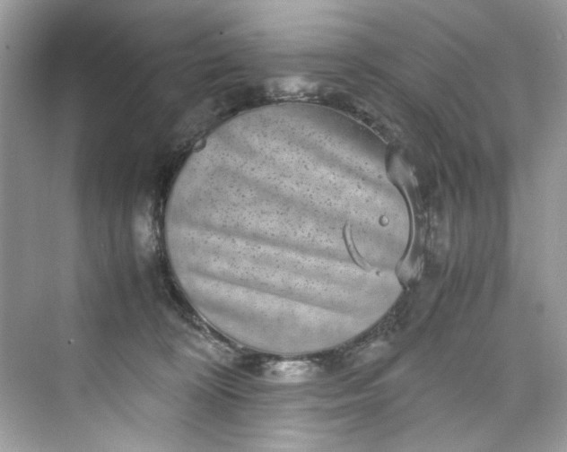 X0000075840324200609291444