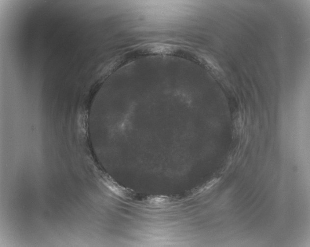 X0000075840325200609291444