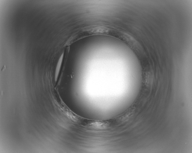 X0000075840326200609291444