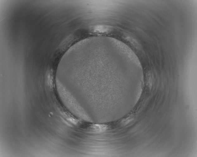 X0000075840328200609291444