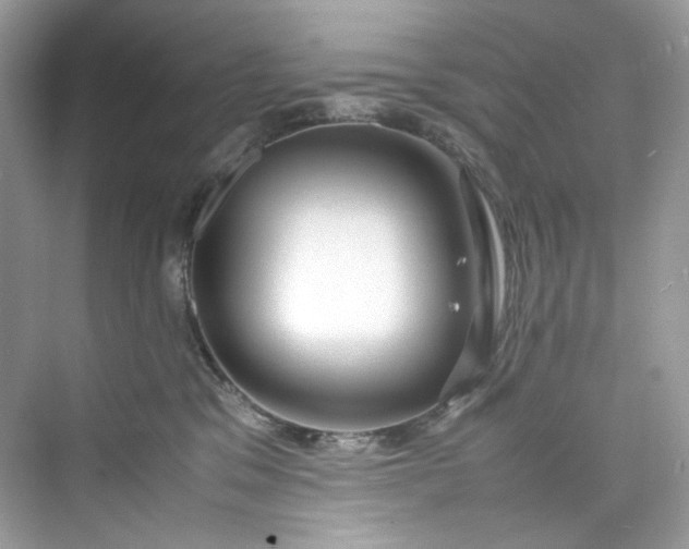 X0000075840329200609291444