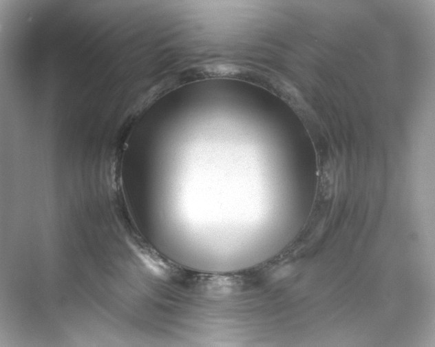 X0000075840330200609291444