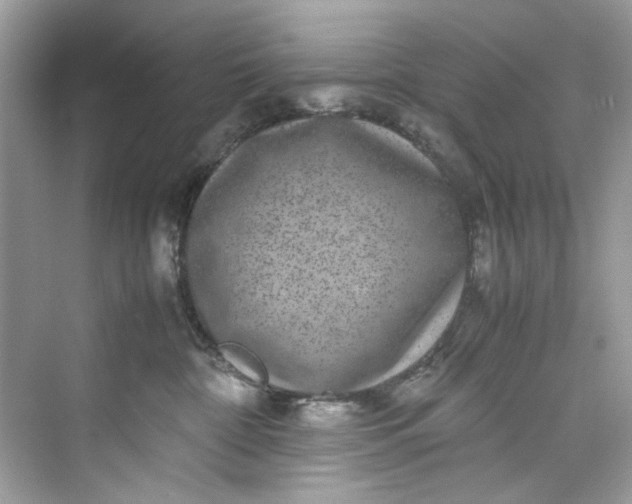 X0000075840332200609291444