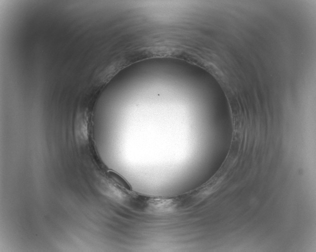 X0000075840334200609291444