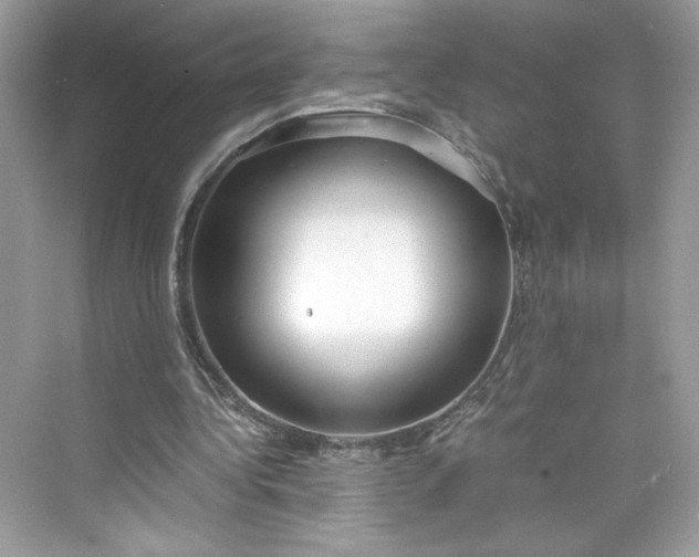 X0000075840340200609291443