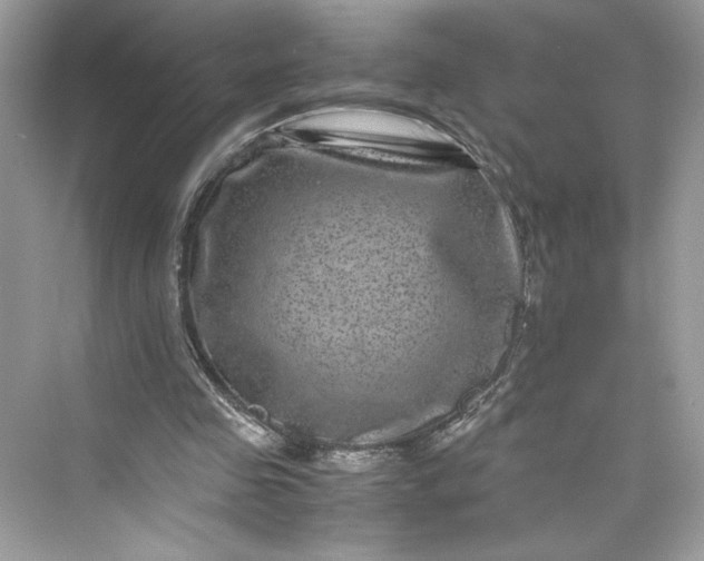 X0000075840341200609291443