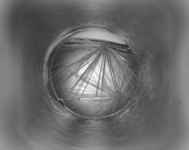 X0000075840343200609291443