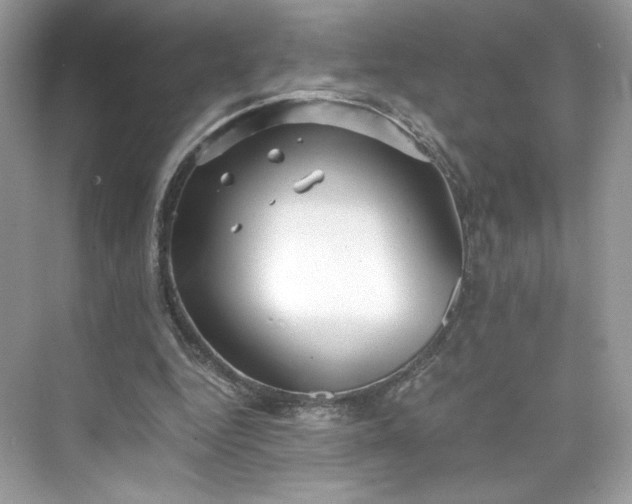 X0000075840344200609291443