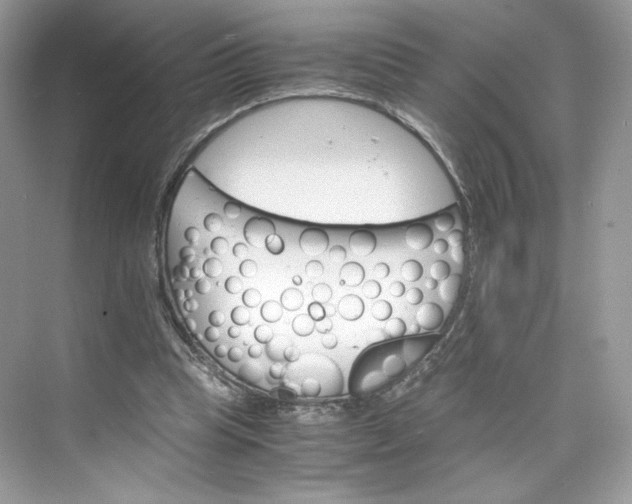 X0000075840345200609291443