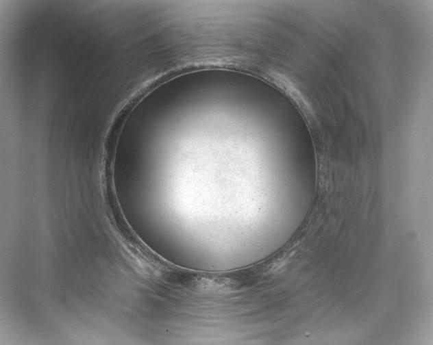 X0000075840346200609291443