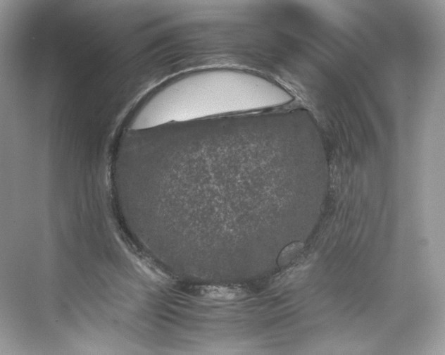 X0000075840347200609291443