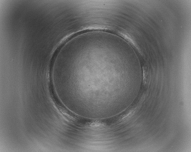 X0000075840348200609291443