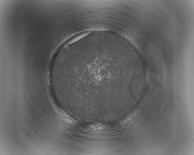 X0000075840351200609291443