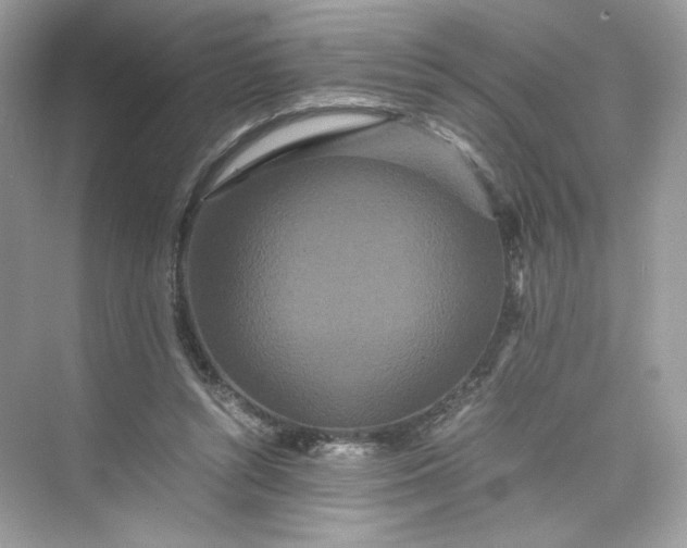 X0000075840352200609291443