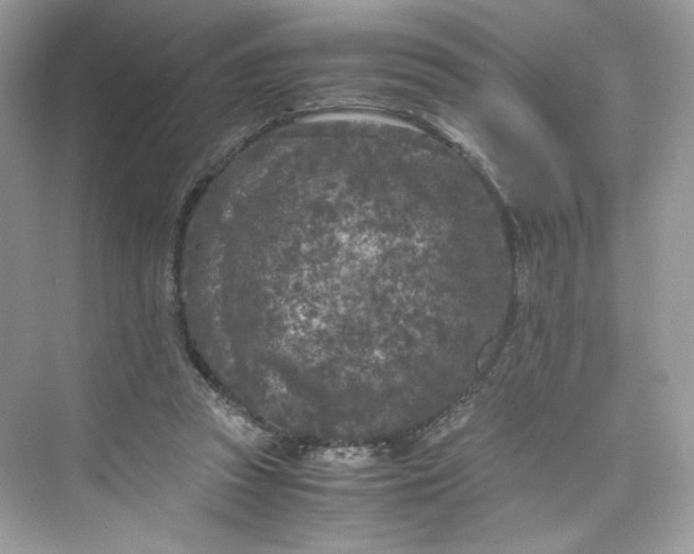 X0000075840353200609291443