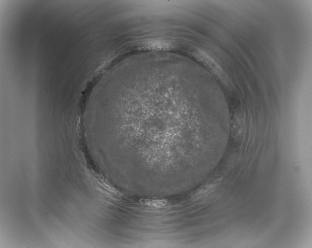 X0000075840355200609291443