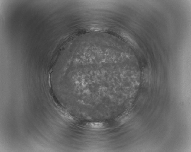 X0000075840361200609291444