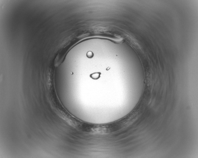 X0000075840362200609291444