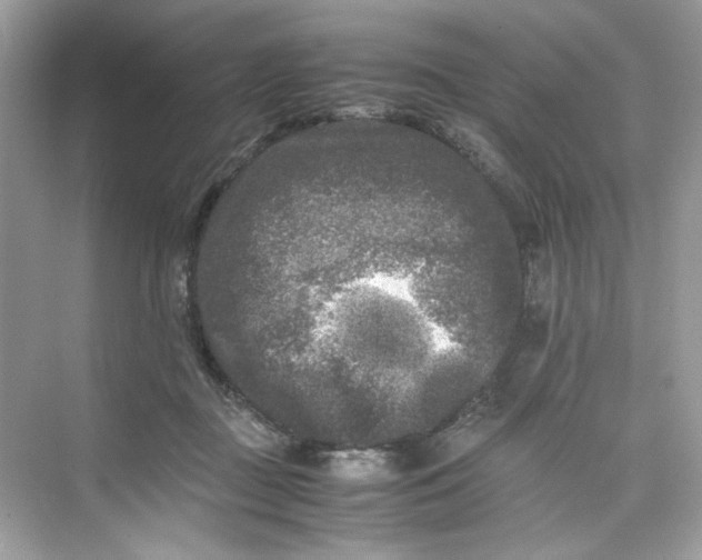 X0000075840363200609291444