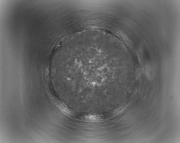 X0000075840365200609291444