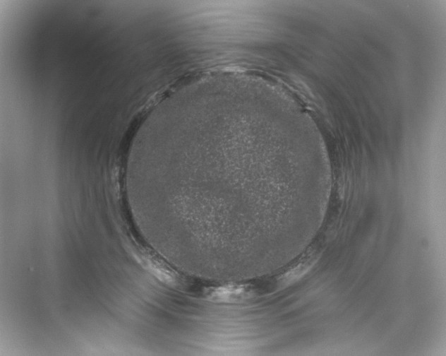 X0000075840366200609291444