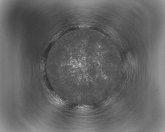 X0000075840367200609291444