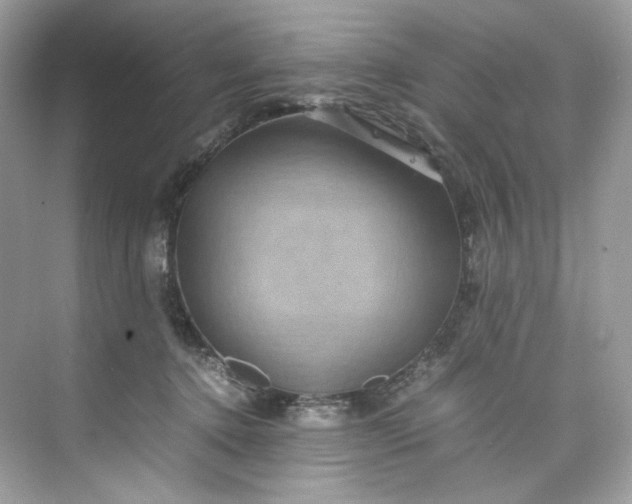 X0000075840368200609291444