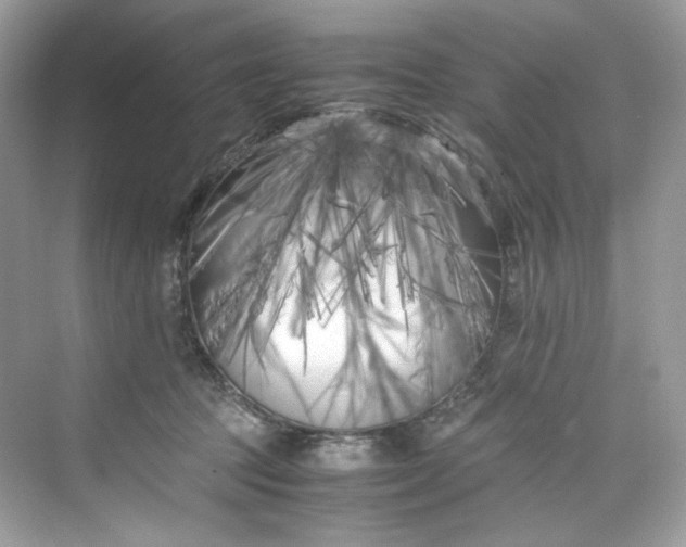 X0000075840369200609291444