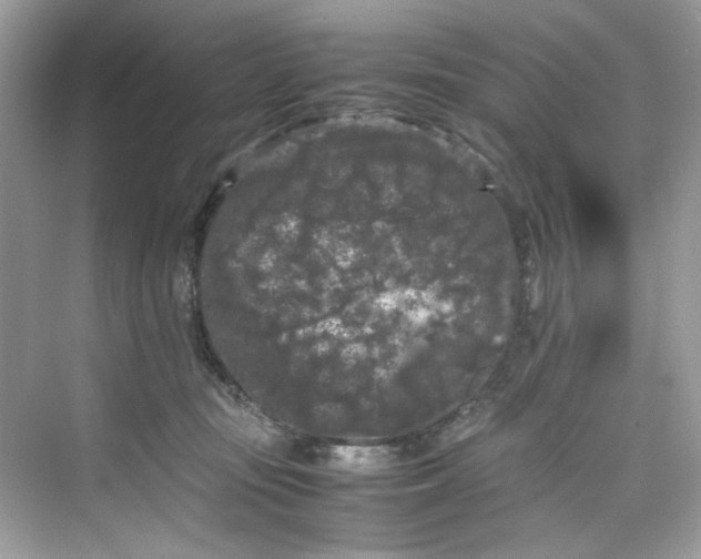 X0000075840371200609291444