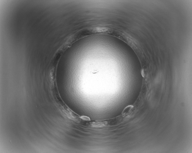 X0000075840373200609291444