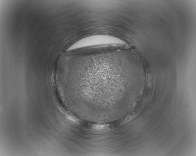 X0000075840375200609291444