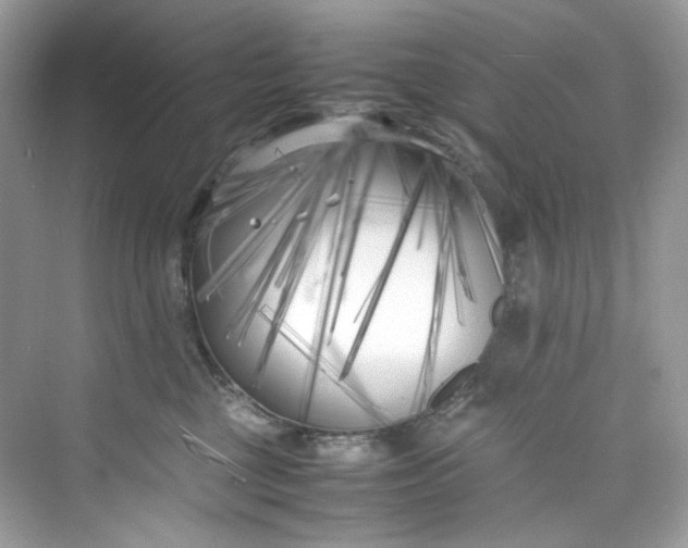 X0000075840377200609291444