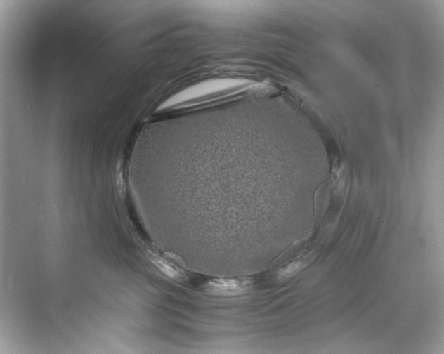 X0000075840381200609291444