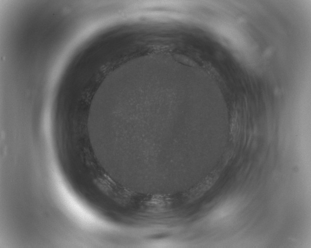 X0000075840383200609291444