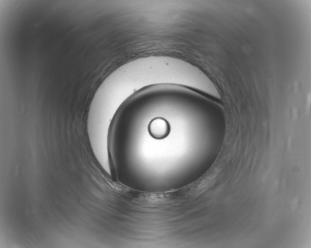 X0000075840384200609291444