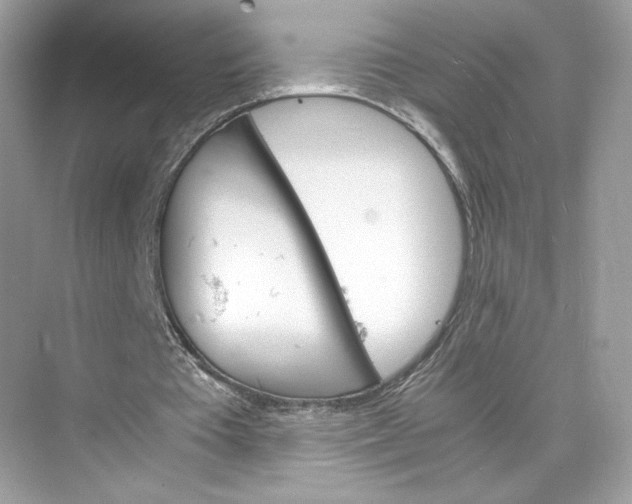 X0000075840385200609291443