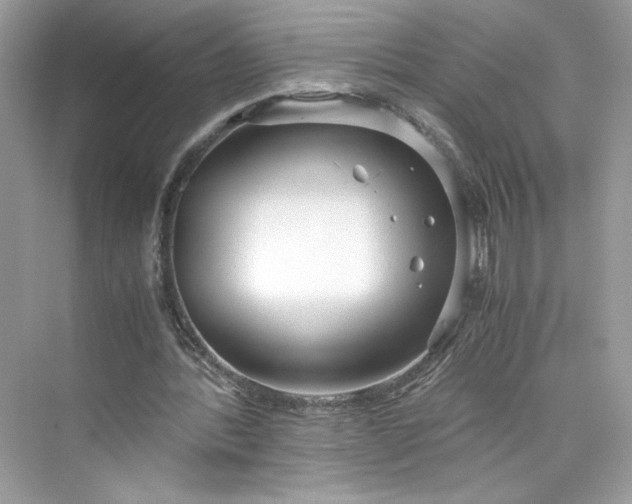 X0000075840388200609291443