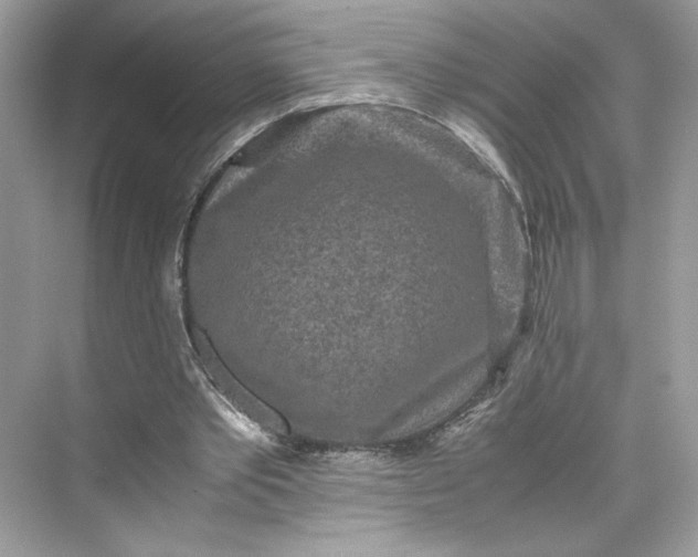 X0000075840389200609291443