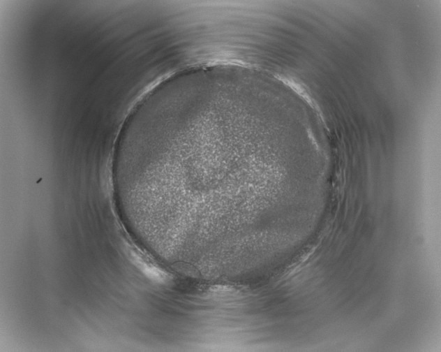 X0000075840390200609291443