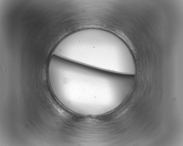 X0000075840393200609291443