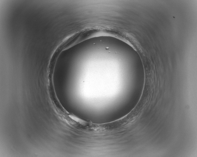 X0000075840395200609291443