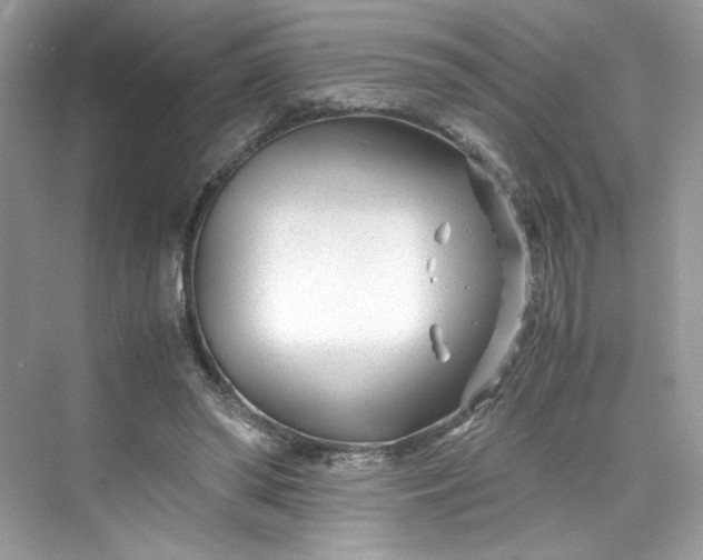 X0000075840398200609291443