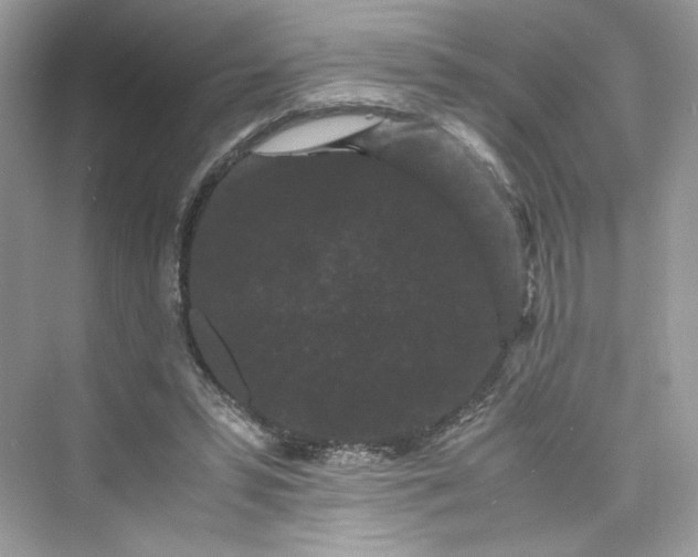 X0000075840399200609291443