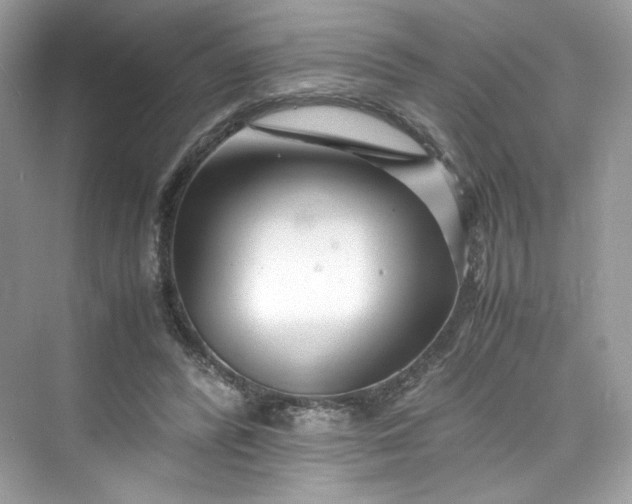 X0000075840400200609291443