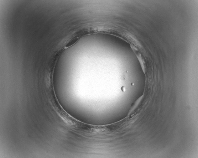 X0000075840401200609291443