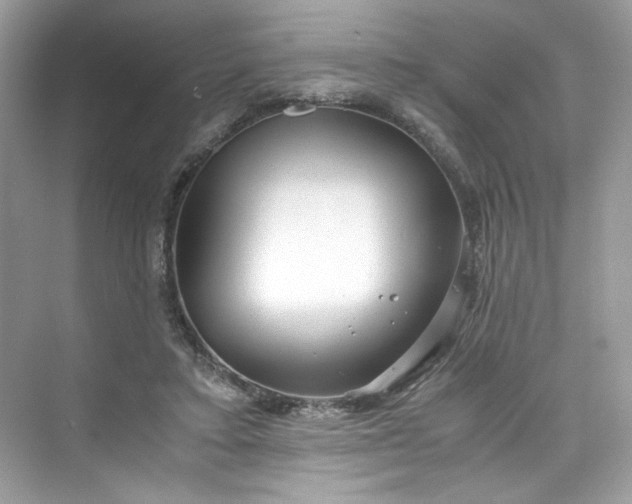 X0000075840403200609291443