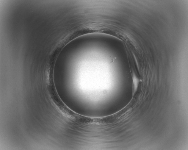 X0000075840404200609291443