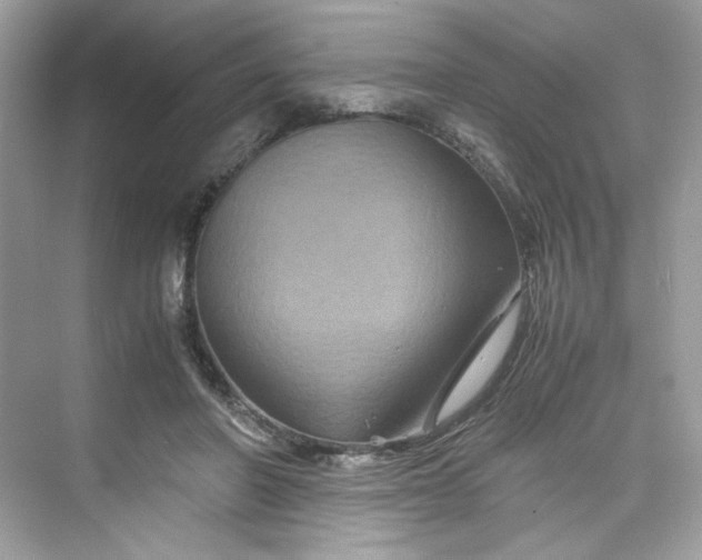 X0000075840406200609291443